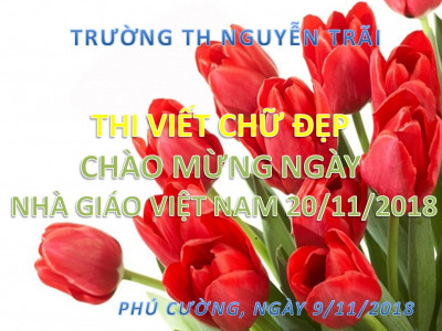 Các hoạt động chào mừng ngày Nhà giáo Việt Nam 20-11