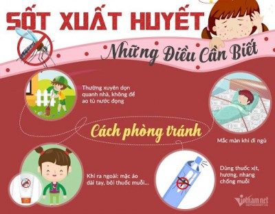 Bài tuyên truyền phòng chống bệnh sốt xuất huyết